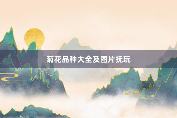 菊花品种大全及图片抚玩